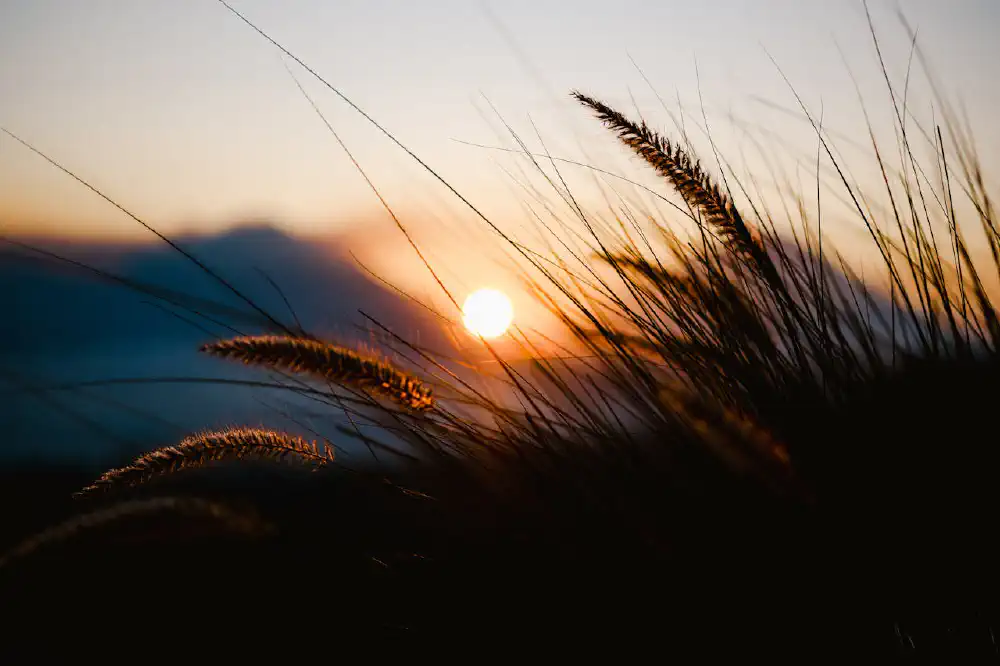 Window of Light